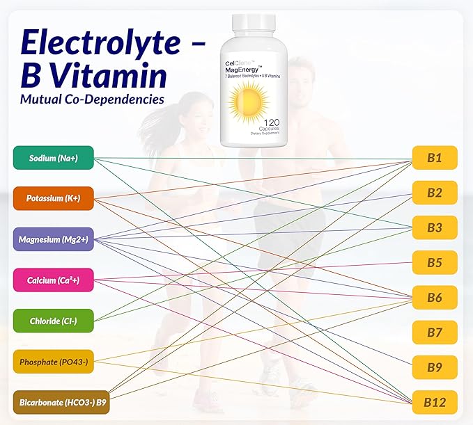 CELCLENE MagEnergy 7 Electrolytes 8 Super B Vitamins High Magnesium High Methyl B12 Methyl Folate D3/K2 Biotin Zinc for Hydration L-Theanine Choline Green Tea Ginger Extracts