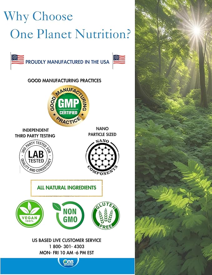 One Planet Nutrition Nano Curcumin 500 mg Veggie Capsules (240 Servings) Family Size Nano for High Absorption Supports Immune Health Non-GMO Vegan Gluten-Free
