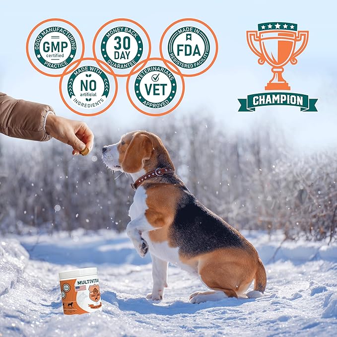 Old Dog's Barn Multivitamins 19 in 1 for Dogs – Glucosamine Salmon Oil Cranberry Powder Hemp Seed Oil (Omega 6) MSM Chondroitin Vitamin C Probiotics Zinc &amp Folic Acid 120 Soft Chews