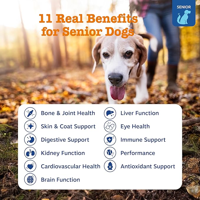 Zesty Paws Senior Dog Multivitamin Treats - Glucosamine for Dogs + Digestive Enzymes &amp Probiotics - Grain Free Dog Vitamins and Supplements for Skin &amp Coat + Immune Health Chicken - Advanced -