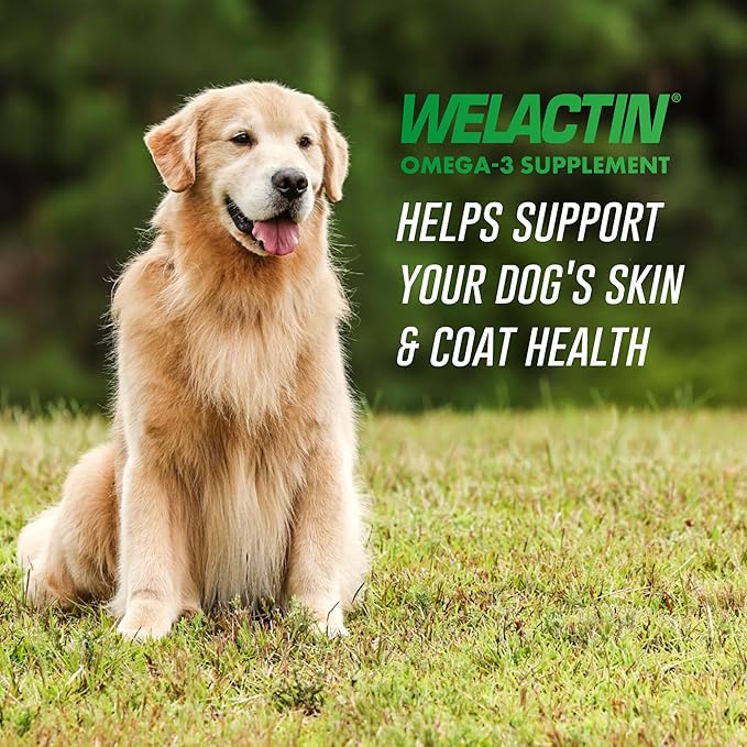 Nutramax Welactin Canine Softgels Omega 3 Supplement for Dogs Softgels 120 Count (Pack of 3)
