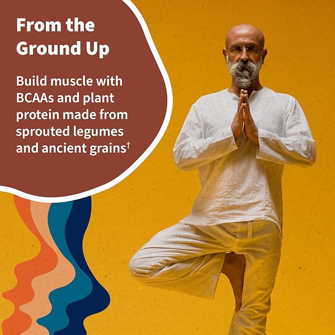 Garden of Life Organic Vegan Protein Powder Plant Based &amp BCAAs Organic Protein Powder with Probiotics &amp Enzymes Non-GMO Gluten-Free Lactose Free Vanilla Chai 1.2 LB