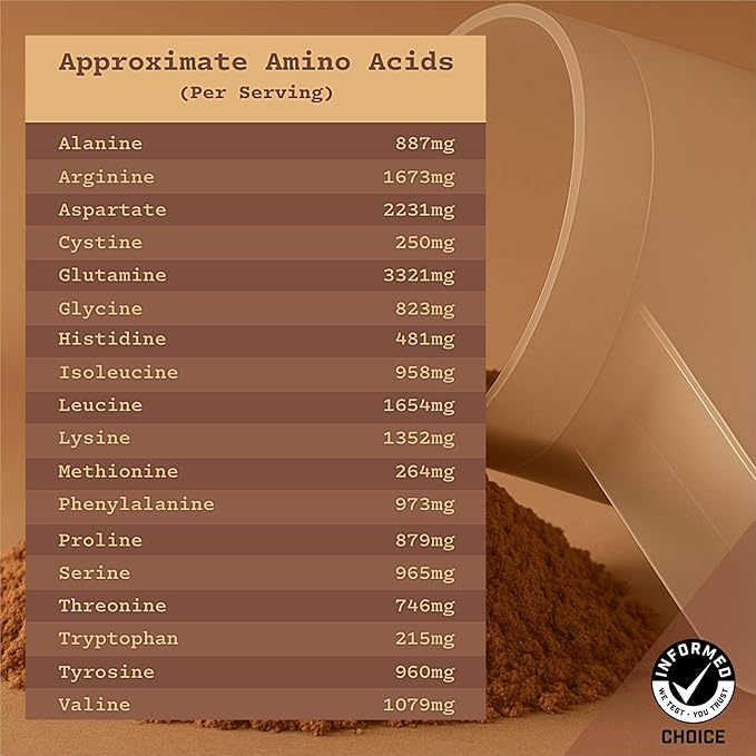 Anea Plant Protein - Chocolate | 20g Vegan Protein | Complete Amino Acids | Dairy-Free Gluten-Free Cholesterol-Free | Rich Chocolate Flavor | Made in GMP Facility