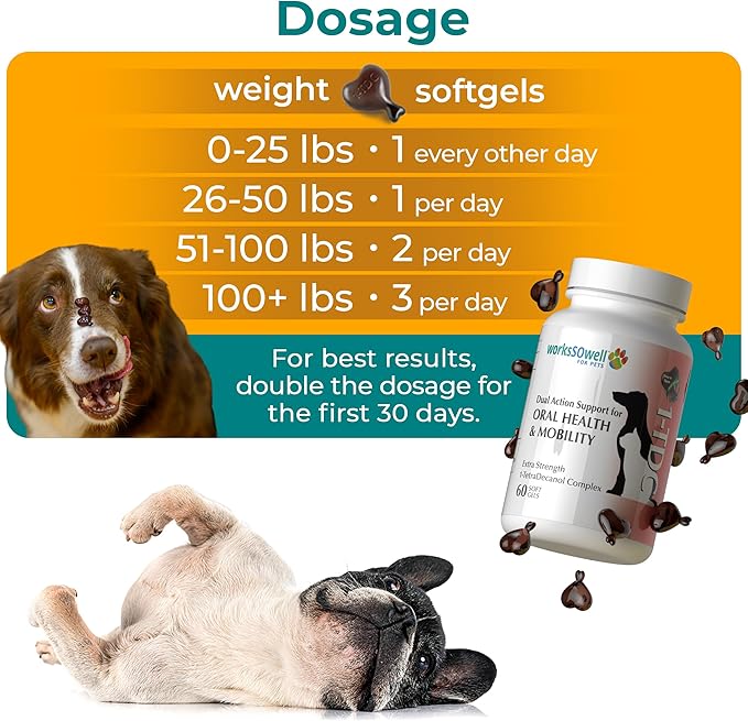 1TDC WorksSoWell Dual Action Hip and Joint Supplement for Dogs &amp Cats - for Large &amp Small Breed - Great for Oral Health Stamina Recovery &amp Arthritis Pain Relief -60 ct