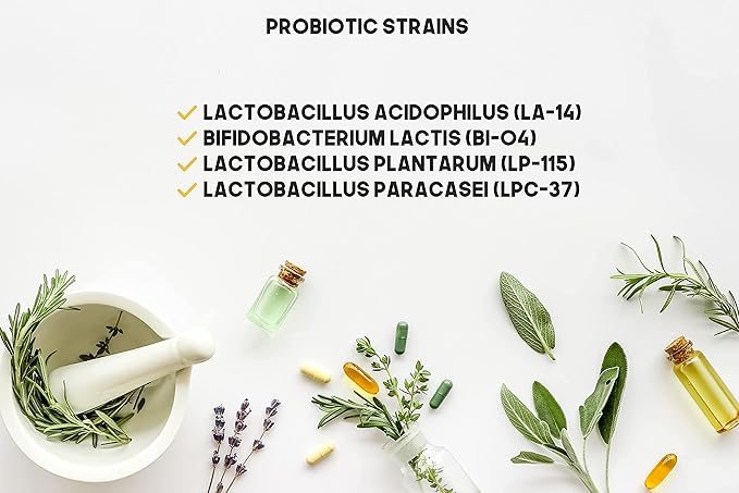 Probiotic Blend - 1050CT Value Size Bottle of Multiple Strains of Key Bacteria Include Lactobacillus Acidophilus Bifidobacterium Lactis L. Plantarum L. Paracasei