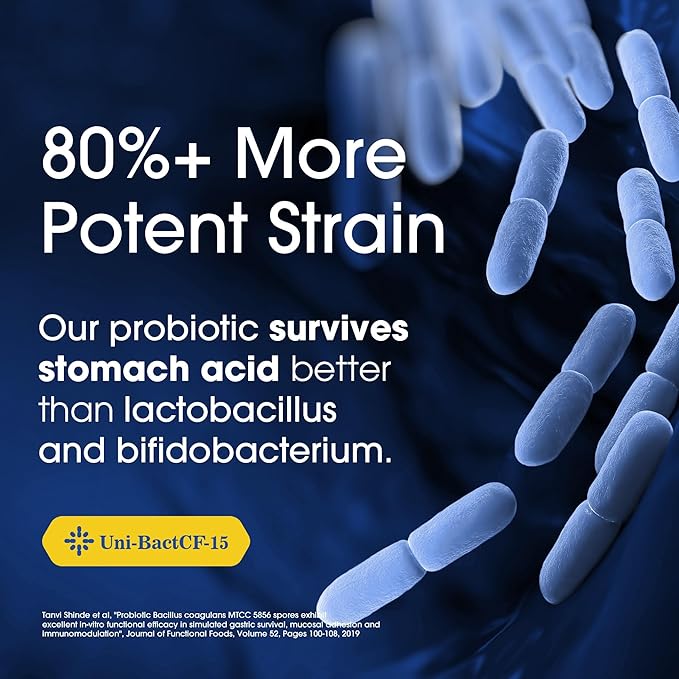 Nutrition Essentials Probiotics for Women and Men - with Lactase Enzyme and Prebiotic Fiber for Digestive Health - 80 Percent + More Potent Supplement for Gut Health Support - Vegan Formula