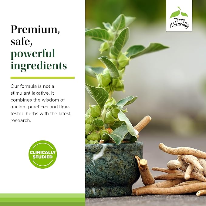 Terry Naturally Ayurvedic Digestive Formula - 60 Vegan Capsules - Promotes Bowel Regularity Gut Microflora &amp Nutrient Absorption - Non-GMO Gluten-Free - 30 Servings