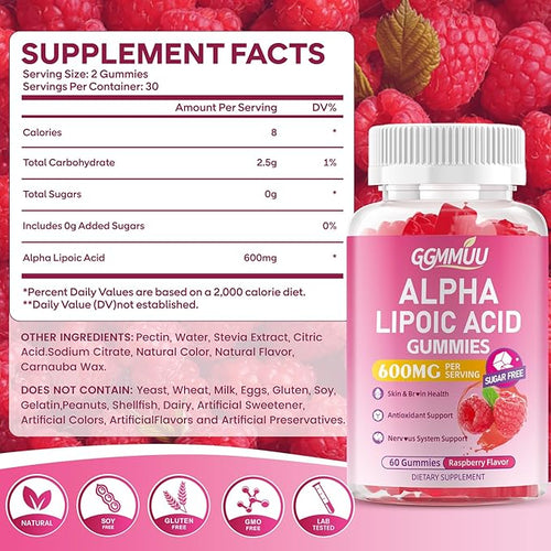 2 Pack Alpha Lipoic Acid Gummies 600mg High Absorption Chewable ALA Supplement for Antioxidant Support Raspberry Flavor Vegan Sugar Free 120 Count