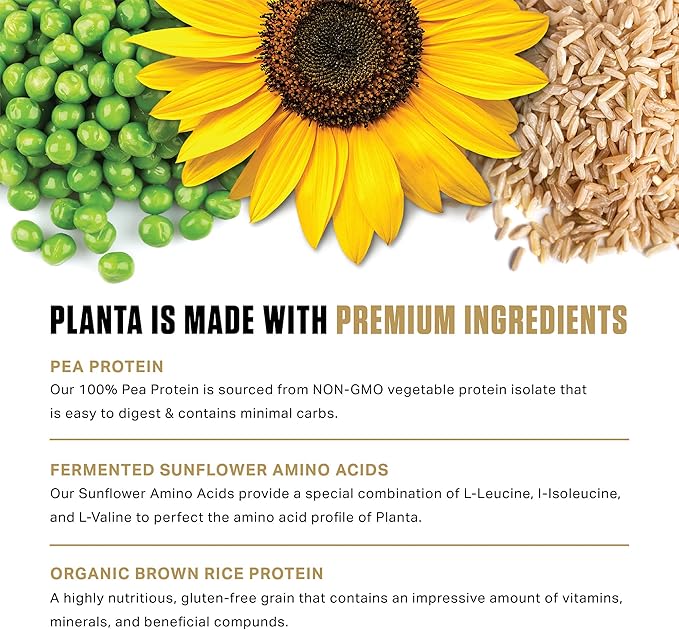 Ambrosia Planta - Plant-Based Protein Powder 20g | Dairy Free Vegan Protein Powder with BCAA Amino Acids | Keto-Friendly No Added Sugar | 25 Servings | Cinnamon Roll