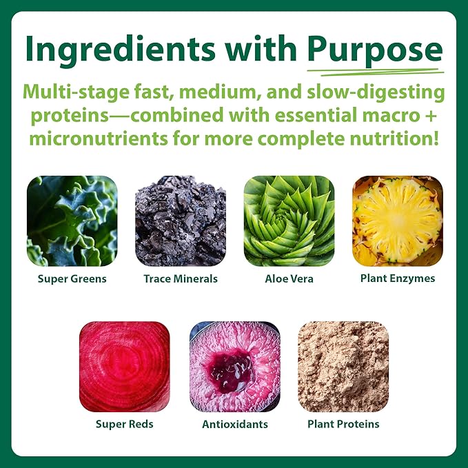 MacroLife Naturals MacroMeal Chocolate Vegan Protein Powder 25g + Superfood Greens 3 Billion Probiotics &amp Fiber for Lasting Energy - Plant Based Shake &amp Smoothie Mix Non-GMO Gluten-Free - 15