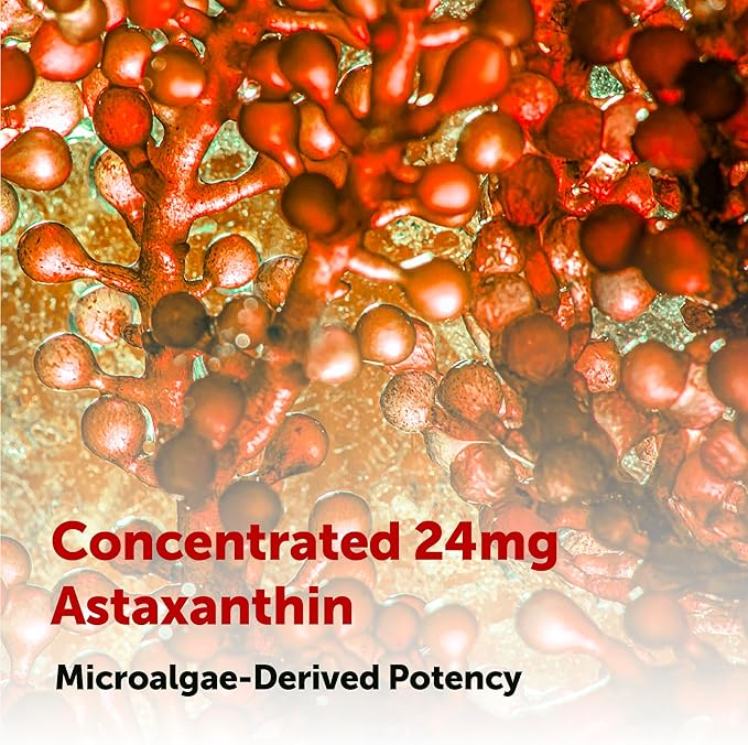 Micro Ingredients Astaxanthin 24mg with MCT Oil 60 Softgels 2 Month Supply | Max Strength Astaxanthin Antioxidant Supplements | Fresh Microalgae Source | Non-GMO Gluten Free No Soy