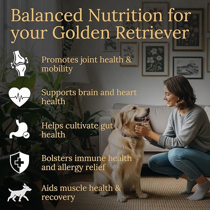 Multivitamins Balanced Nutrition for Your Golden Retriever 90 Count Made in The USA with Real Bacon
