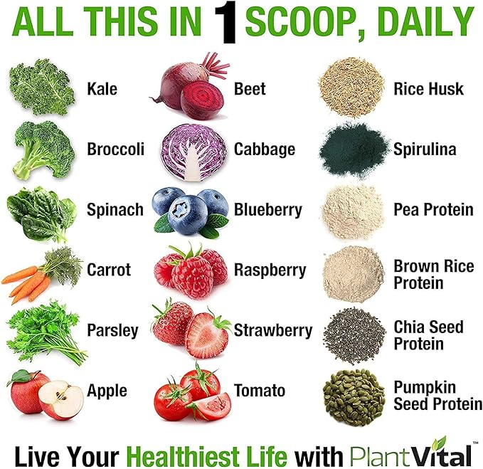 Plantvital Unflavored Organic Vegan Protein Powder - 15 Superfoods Veggies and Probiotics - Organic Plant-Based Protein Powder - All BCAA’s Gluten Free - 16oz -1 Pouch