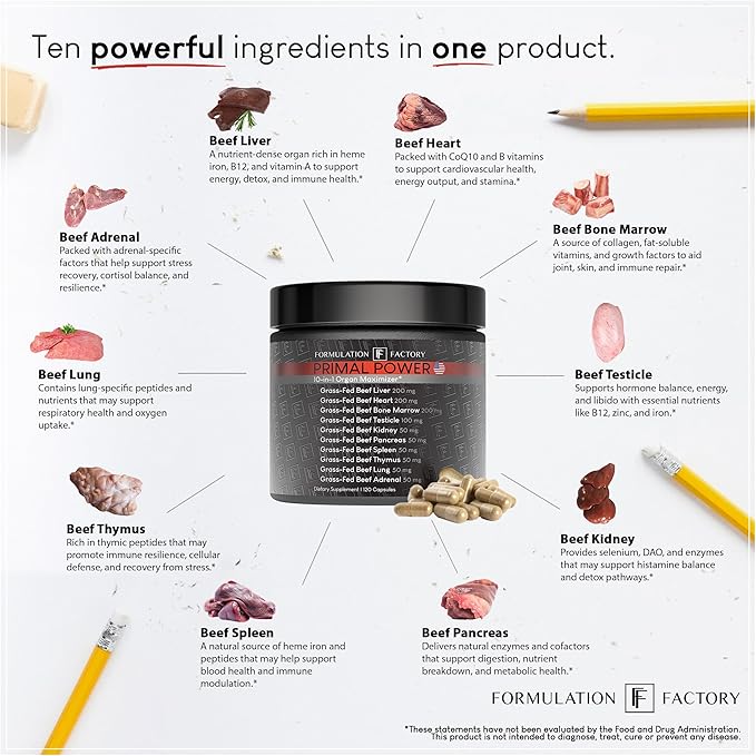 Formulation Factory Primal Power 10-in-1 Grass-Fed Organ Supplement with Beef Liver Heart Marrow Testicle Kidney Supports Vitality Hormones Energy Immunity (4 Month Supply 240 Capsules)