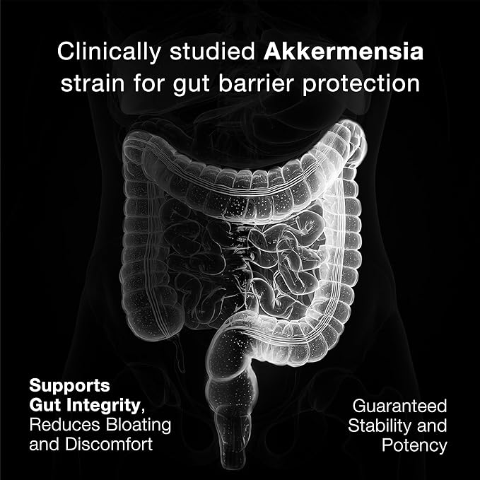 Toniiq Akkermansia Probiotic – 10 Billion TFU – Supports Gut Health &amp GLP-1 Activity