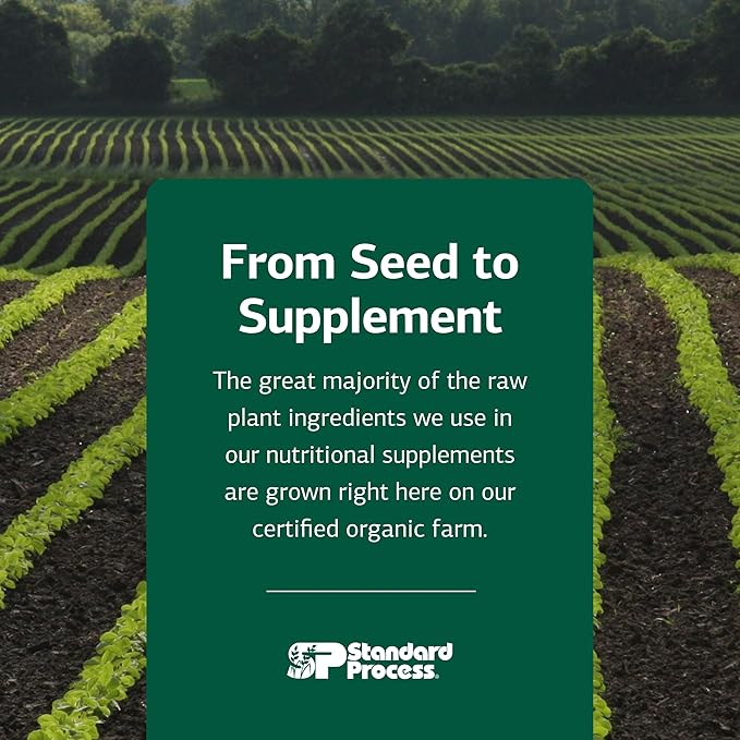Standard Process SP Complete Dairy-Free - Rice Protein Powder for Amino Acid Support - Supports Gut Health Liver Function &amp Immune Health - Vegan Vegetarian &amp Gluten-Free - 2 lbs (907 g)