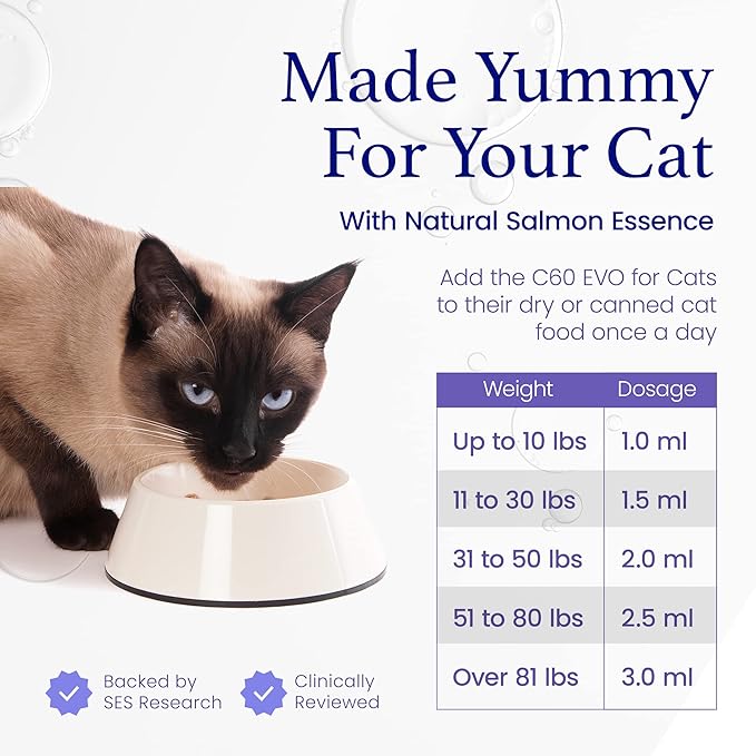 C60 Evo Cat Lover Set 2 Bottles of Pure ESS60 in Extra Virgin Olive Oil 1 for Humans and 1 for Felines Cat Supplements Infused with Natural Salmon Essence Must-Have Pet Supplies and Cat Products