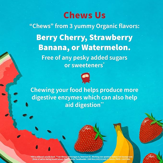 Garden of Life Dr. Formulated Probiotics Organic Kids+-Digestive Health Support-Prebiotic Fiber&ampVitamins C&ampD-Supports Immune Function-Shelf Stable-Strawberry Banana30 Yummy Chewables(Pack of