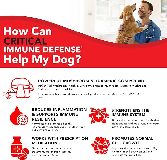 Critical Immune Defense for Dogs &amp Cats Supports Normal Cell Growth - Turkey Tail Reishi Shiitake and Maitake Mushroom Formula with Patented White Turmeric Root Extract - 30-Day Supply