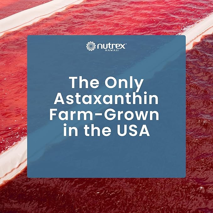 EyeAstin BioAstin Hawaiian Astaxanthin with Lutein &amp Zeaxanthin Supports Eye Health Naturally 60 Count