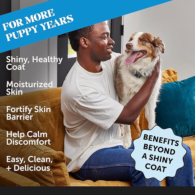 Pet Honesty Dog Skin and Coat Supplement with Salmon Oil for Dogs - Allergy Itch Relief + Skin &amp Coat Health Dog Food Topper Bone Broth with Salmon Oil Collagen Biotin + Vitamin E (12 oz)