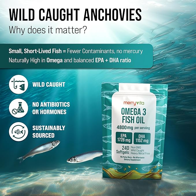 Omega 3 Fish Oil 4800 mg – EPA 1728 mg | DHA 1152 mg from Wild-Caught Anchovies – Burpless Mini Softgels – Pure Omega-3 Fatty Acid Supplement – Non-GMO Gluten-Free No Aftertaste – 240 Capsules