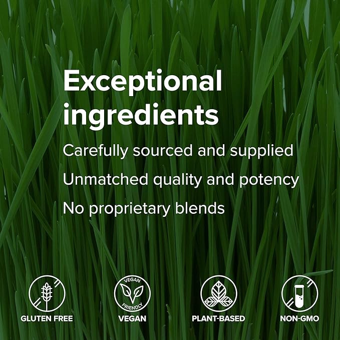 Vibrant Health - Maximum Vibrance Chocolate All in One Multi-Supplement Advanced Daily Futurefood 15 servings