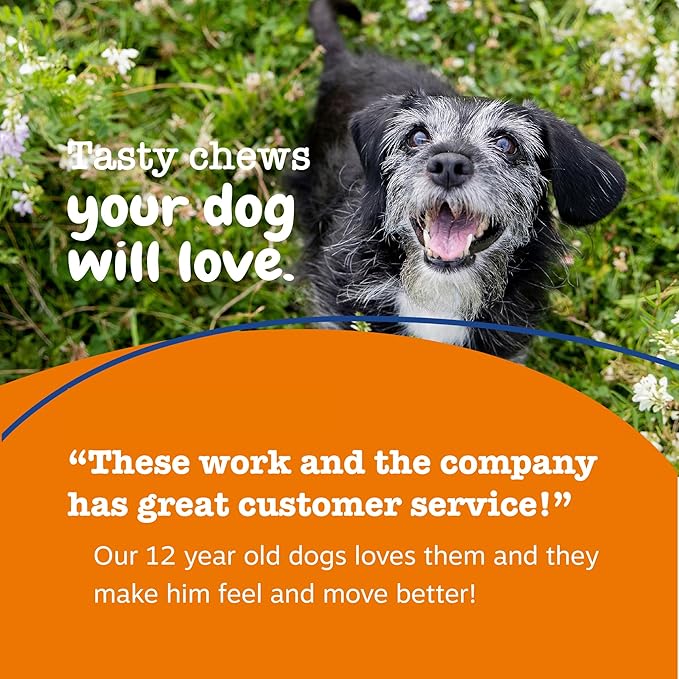 Zesty Paws Senior Dog Multivitamin Treats - Glucosamine for Dogs + Digestive Enzymes &amp Probiotics - Grain Free Dog Vitamins and Supplements for Skin &amp Coat + Immune Health Chicken - Advanced -