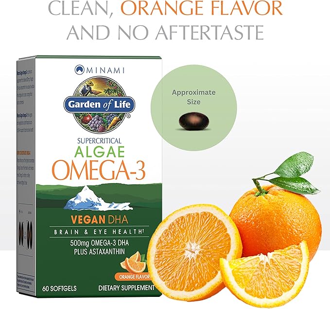 Garden of Life Minami Algae Omega 3 Vegan DHA for Brain and Eye Health - Orange Flavor 500mg Plant Based DHA Omega-3 Vegan Algae Oil plus Astaxanthin No aftertaste 60 easy-to-swallow Mini Softgels