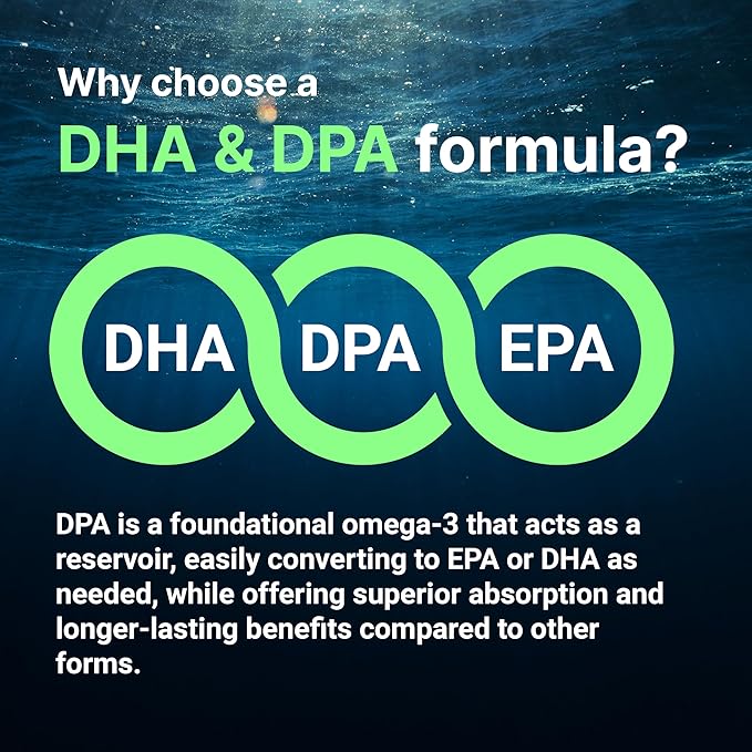 Micro Ingredients Vegan Omega 3 Algae Oil 240 Veggie Softgels | Fish Oil Alternative | DHA 500mg &amp DPA 100mg | Carrageenan Free | Plant-Based Omega 3 with Flaxseed &amp ALA | Lemon Flavored