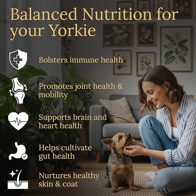 Multivitamins Balanced Nutrition for Your Yorkie 90 Count Made in The USA with Real Bacon