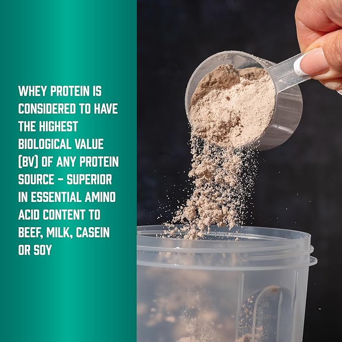 NOW Foods Sports Nutrition Whey Protein 24 g With BCAAs Creamy Chocolate Powder 6-Pound