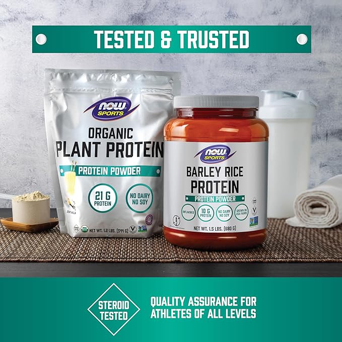 NOW Foods Sports Nutrition Plant Protein Complex 22 Grams Chocolate Mocha Powder 2-Pound