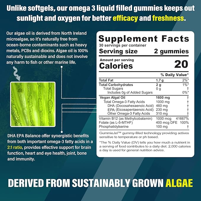 Vegan Omega 3 Gummies with Zinc and Magnesium Supplement