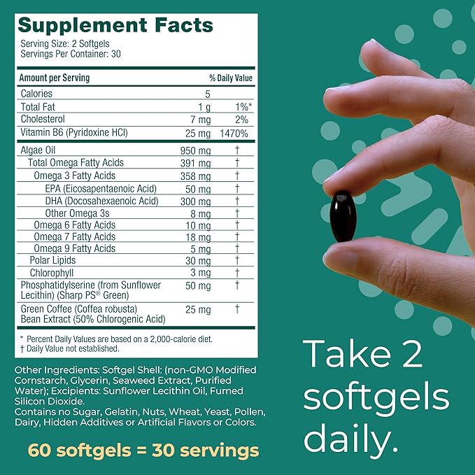 Iwi Life Brain Omega-3 60 Softgels (30 Servings) Vegan Plant-Based Algae Omega-3 with EPA + DHA Focus Memory and Mood Support Dietary Supplement Krill &amp Fish Oil Alternative No Fishy Afterta
