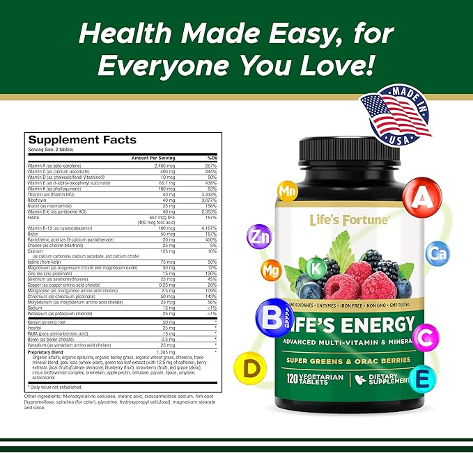 Life's Energy Advanced Daily Multivitamin for Men &amp Women Energy &amp Immune Support Supplement with Super Greens - Antioxidants &amp Enzymes - Iron Free Vegetarian 120 Tablets by Life's Fort