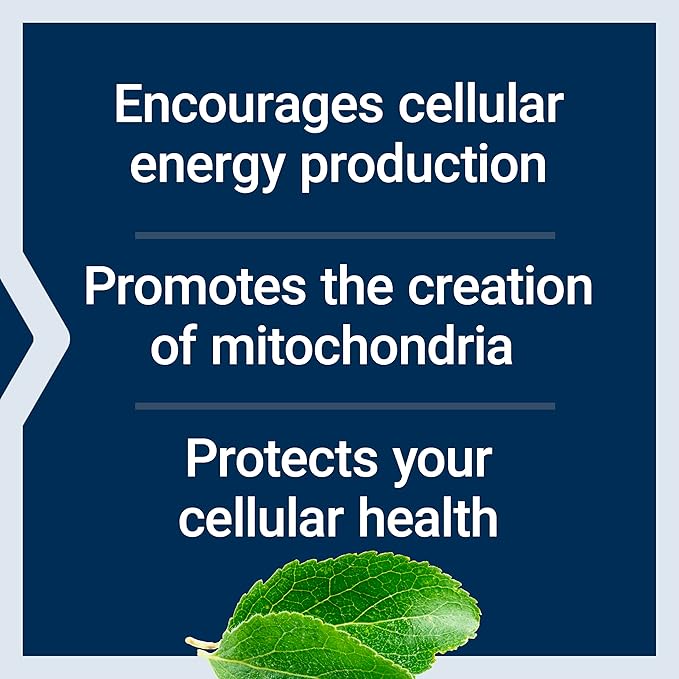 Life Extension Mitochondrial Energy Optimizer with PQQ - Energy Supplement for Healthy Mitochondria - With Taurine Vitamin B Pyrroloquinoline Quinone - Gluten-Free Non-GMO - 120 Vegetarian Capsules