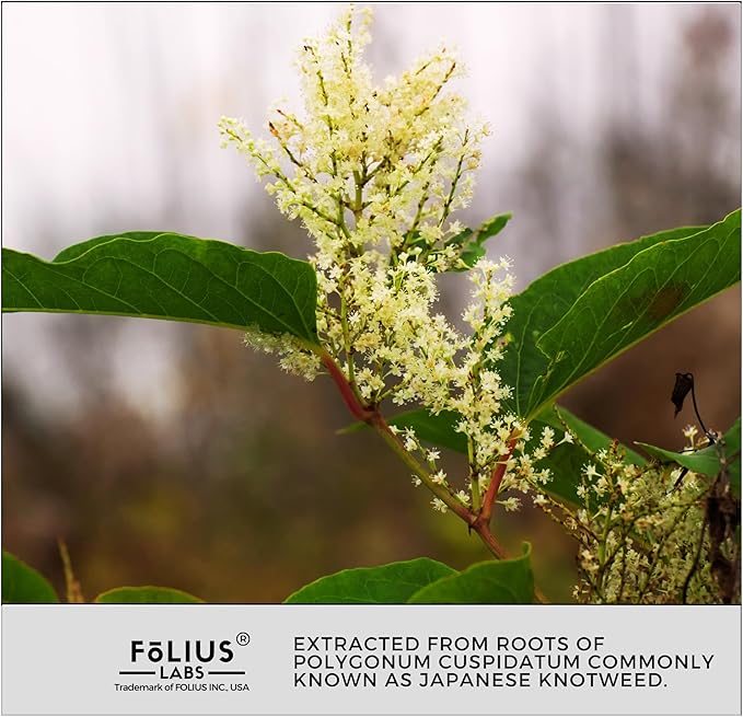 Ultra High Purity Resveratrol Capsules - 99% Trans-Resveratrol - Japanese Knotweed Extract - Support Immunity Support Healthy Aging - 60 Caps Reservatrol Supplement