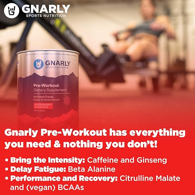 Gnarly Vegan Plant Protein Meal Replacement - Vanilla (28.2oz) and Gnarly Nutrition Preworkout Mango (14.82oz)