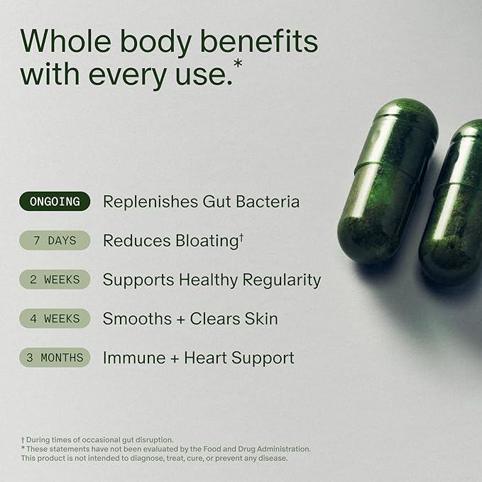 Seed DS-01 Daily Synbiotic &amp AM-02 Energy + Focus Bundle - Probiotic and Nootroptic Supplment for Women and Men - Vegan - 30-Day Supply