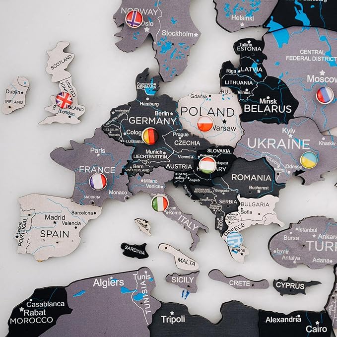 Handmade 3D Wood World Map Wall Art Large Wall Decor Track Your World Travels - Special for Home Kitchen and Office (Pins Flags Push Pins)