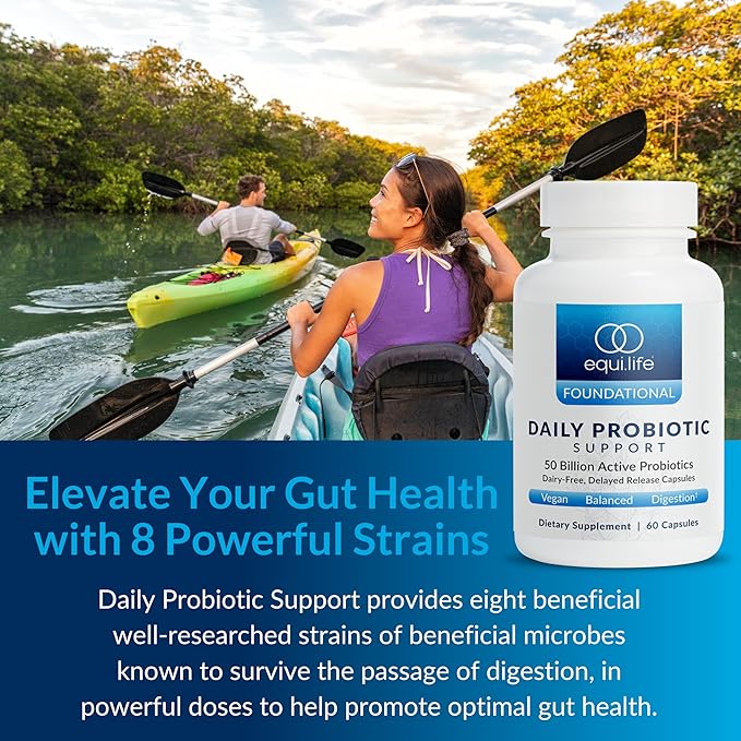 Equilife Daily Probiotic Support 50 Billion CFU 8 Probiotic Strains Digestive and Gut Health Supplement for Men and Women Gluten Free Soy and Dairy Free Non GMO American Made 60 Capsules