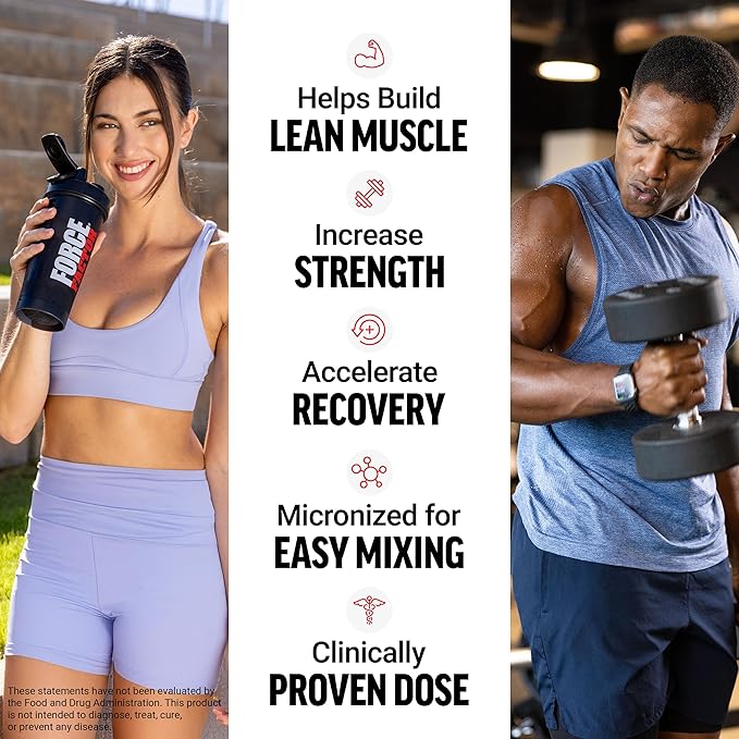 Force Factor Creatine Monohydrate Gummies NSF Certified 5g Dose for Men &amp Women to Support Muscle Strength Recovery Cognitive Health &amp Memory Packaging May Vary Blue Raspberry 150 Gumm
