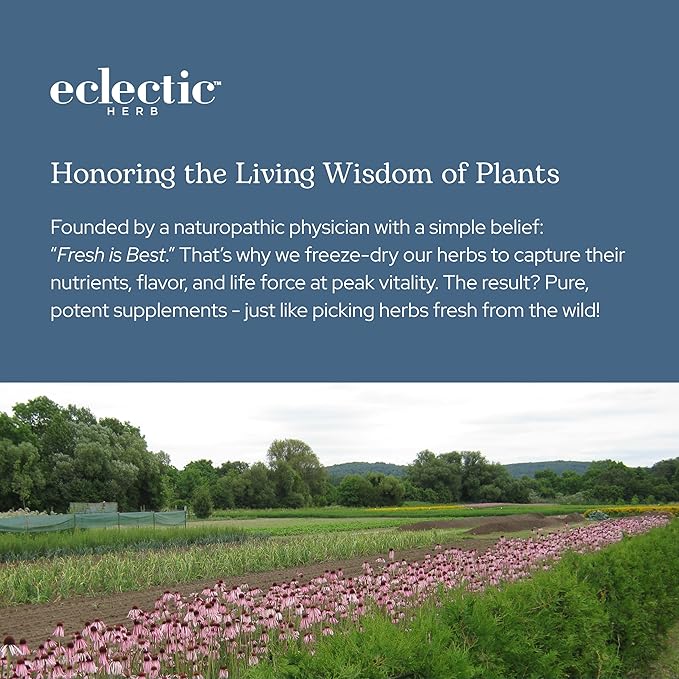 Eclectic Herb - ParaFight Capsules | Intestinal Support + Detox | Non-GMO Vegan Gluten Free (45 CT | 350 mg)