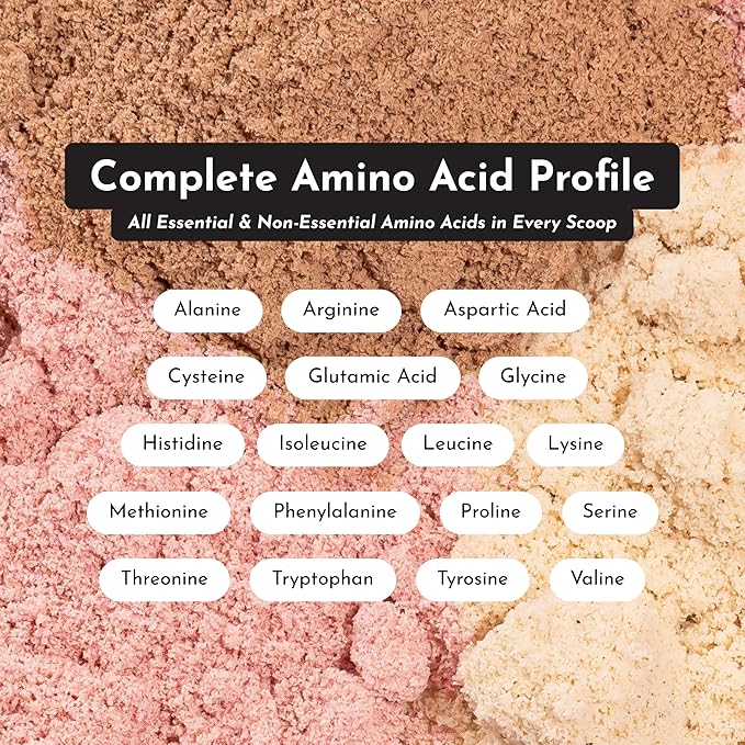 JUST INGREDIENTS Strawberries &amp Cream Protein Powder – 20-Serving Blend with 100% Grass-Fed Whey &amp Organic Plant Proteins – Real Strawberry Flavor – Supports Muscle Recovery Energy*