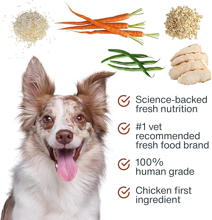 JustFoodForDogs JustFresh Boost Sensitive Stomach Dog Food Topper with Fiber for Gut Support &amp Digestive Health Human-Grade Fresh Pet Meal Booster 8 oz Pouches - 8 Pack