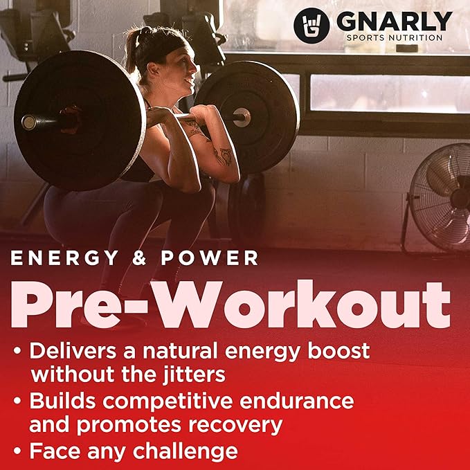 Gnarly Vegan Plant Protein Meal Replacement - Vanilla (28.2oz) and Gnarly Nutrition Preworkout Mango (14.82oz)