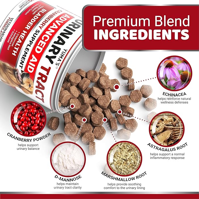 Dog UTI Chews - 170 Treats - Cranberry Supplement for Dogs - Bladder Control - Digestion &amp Immune Support - Urinary Tract Health - Multivitamin - Vitamins and Supplements - Made in USA