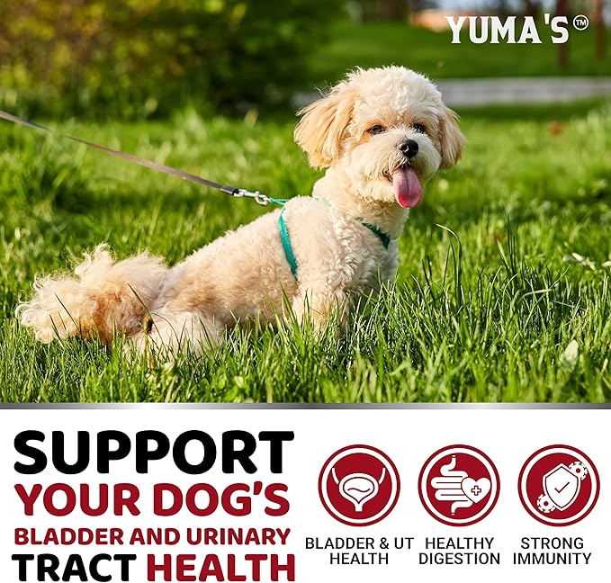 Dog UTI Chews - 170 Treats - Cranberry Supplement for Dogs - Bladder Control - Digestion &amp Immune Support - Urinary Tract Health - Multivitamin - Vitamins and Supplements - Made in USA