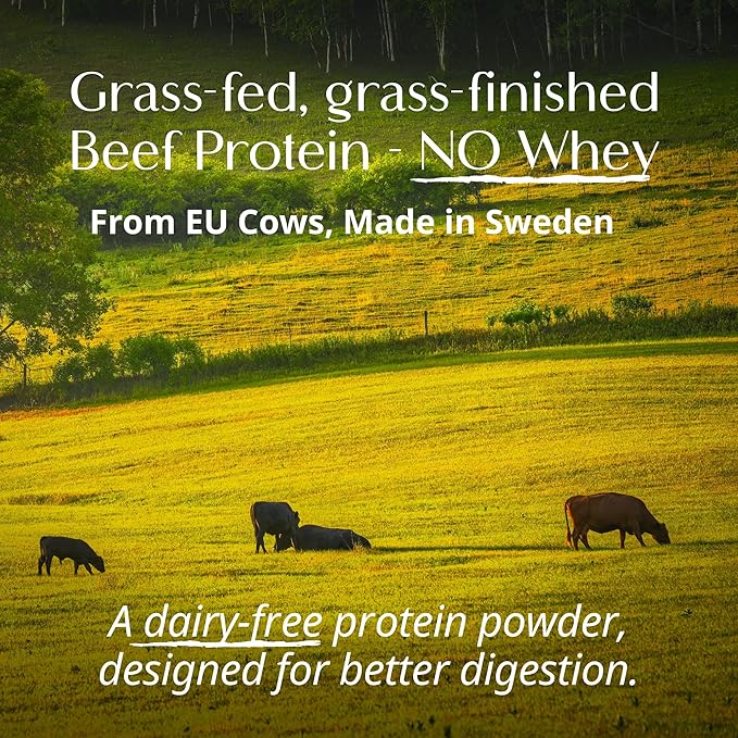Wellena Her Protein – 3-in-1 Whey-Free Beef Isolate Formula with Creatine &amp Inositol – Grass-Fed Protein Powder – Dairy &amp Pea Free – Women’s Daily Nutrition